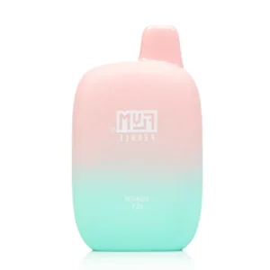 FLUM flum pebble 6000 disposable peach icy 一次性电子烟