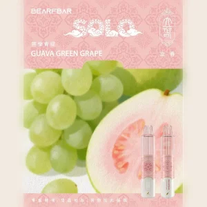 比熊Solo（bearfbar）15000口一次性电子烟 产品主图