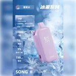 SONG崧A38冰果系列17000口 一次性电子烟 葡萄口味