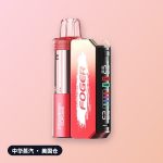 Foger Switch Pro 套装