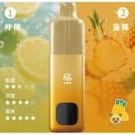 Song A66 双响仓 柠檬菠萝口味产品图
