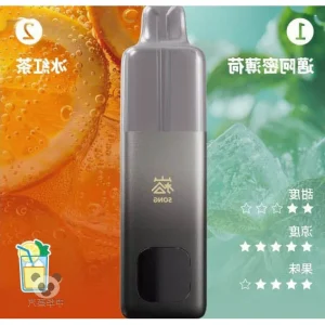 Song A66 双响仓 薄荷冰红茶口味产品图