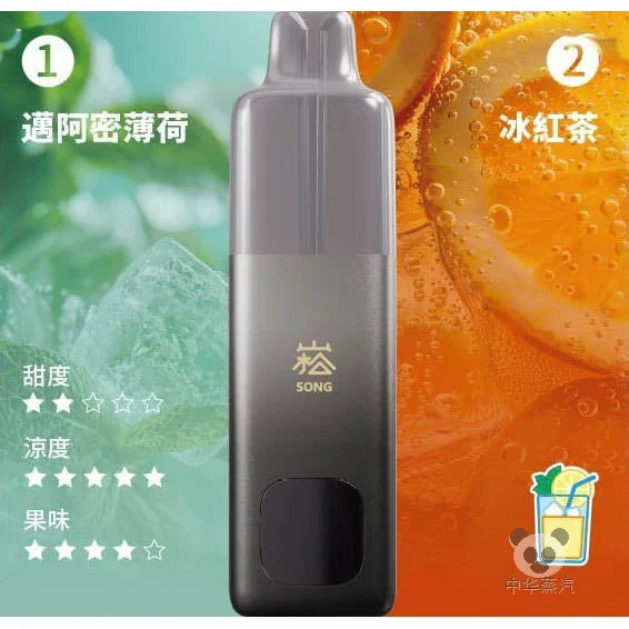 崧 A66 一次性电子烟