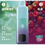 Song A66 双响仓 薄荷群果口味产品图