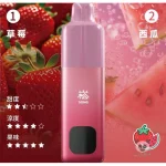 Song A66 双响仓 草莓西瓜口味产品图