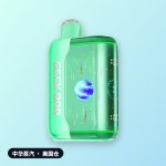Geek Bar Pulse X2 50000口 一次性电子烟