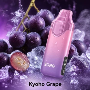 SONG崧A55冰极系列16000口 一次性电子烟 产品图