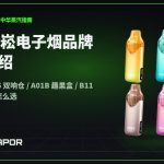 SONG 崧电子烟品牌深度介绍封面：A55 冰极系列产品｜中华蒸汽 CNVapor