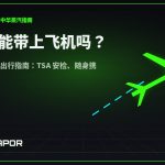 电子烟能带上飞机吗？2026 美国航空出行指南封面｜中华蒸汽 CNVapor